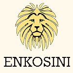 enkosini eco experience